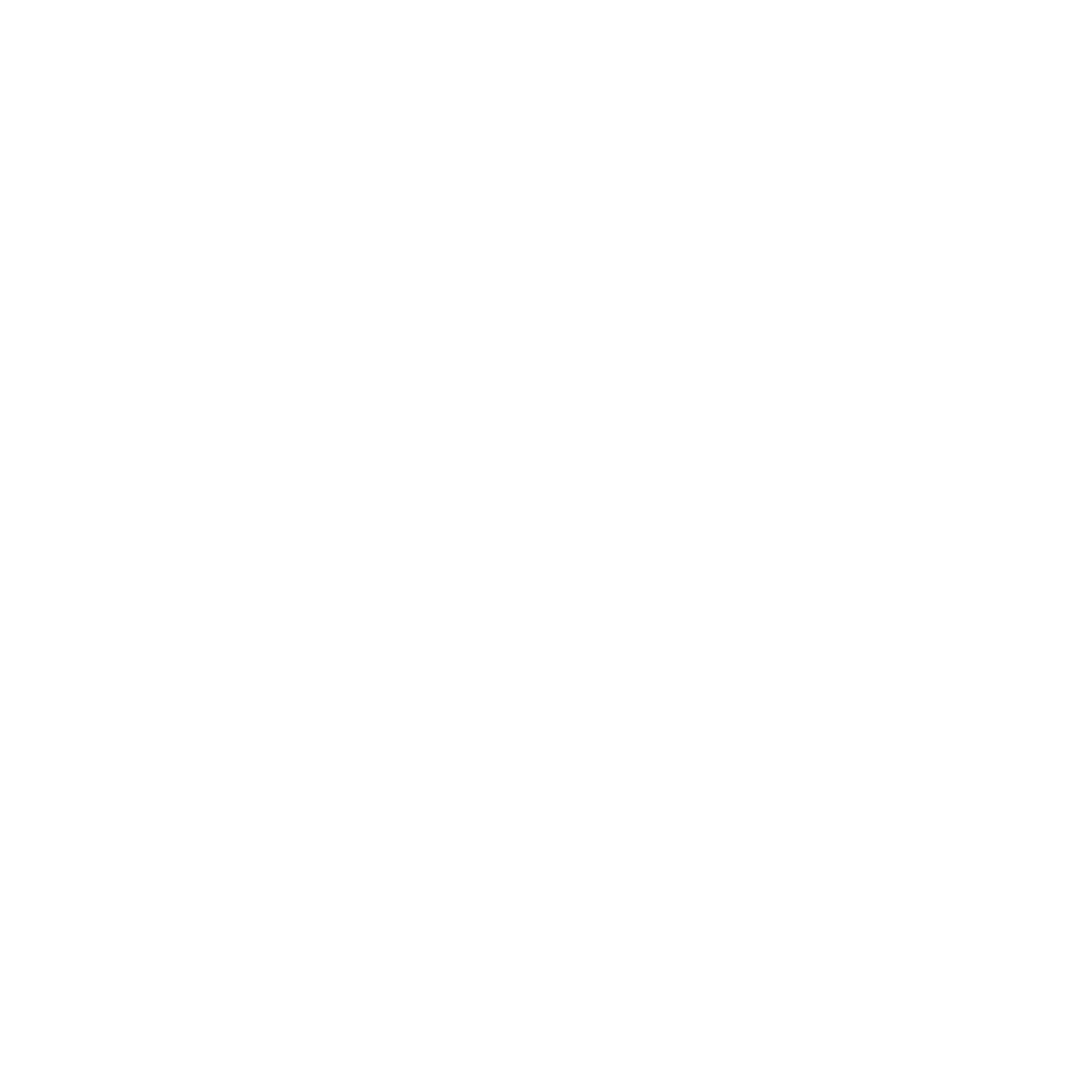 DJ Trizzy